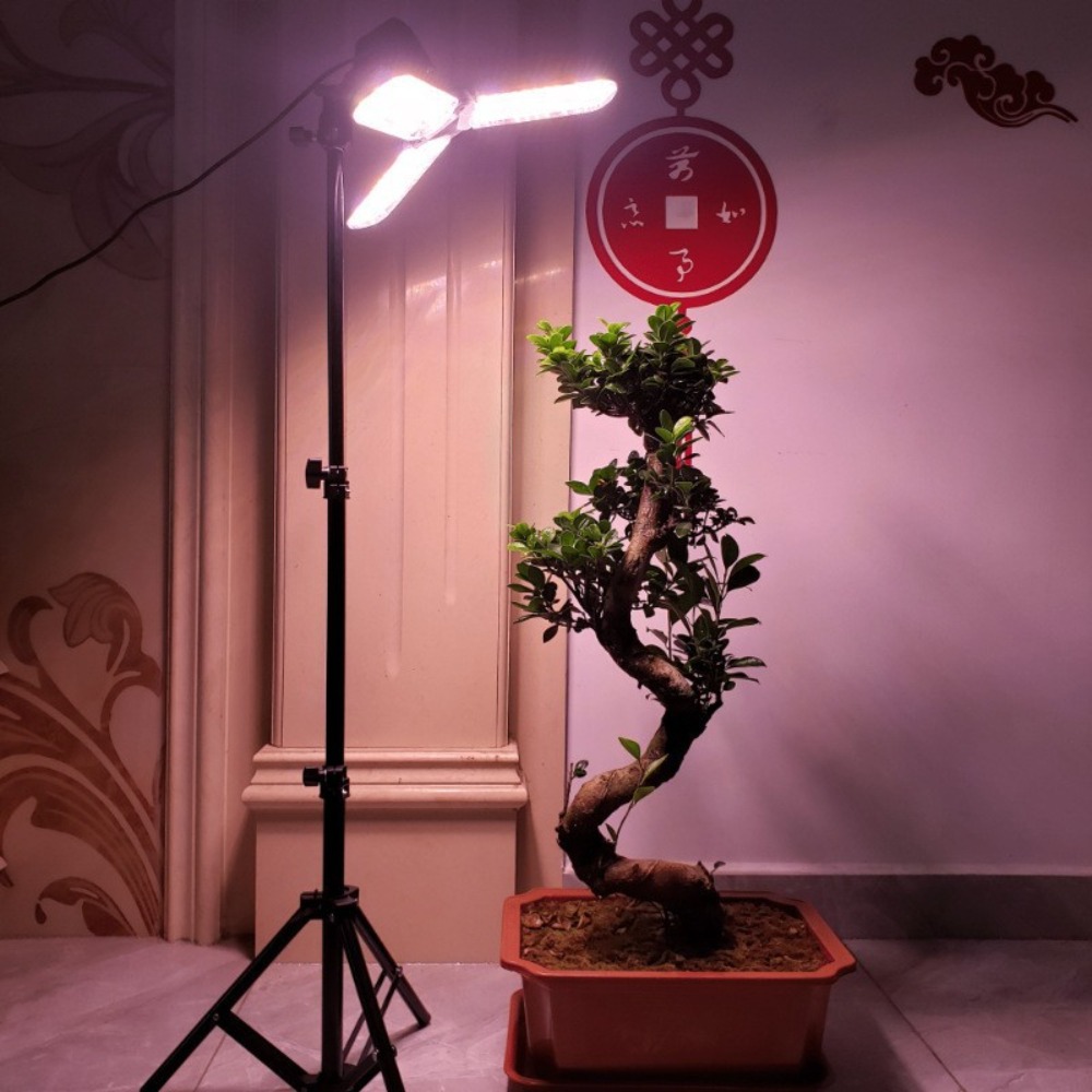 Light Bulb Stand 2M, E27 AC So - огляд і ціна Photography Bulb