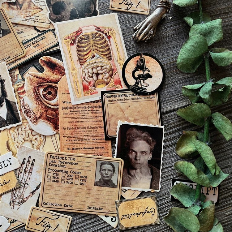 DIY Scrapbooking Vintage Doll  - огляд і ціна Photography Journal