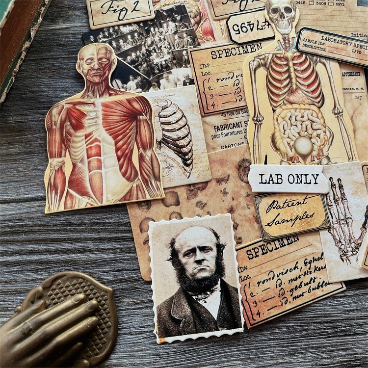 DIY Scrapbooking Vintage Doll  - огляд і ціна Photography Journal
