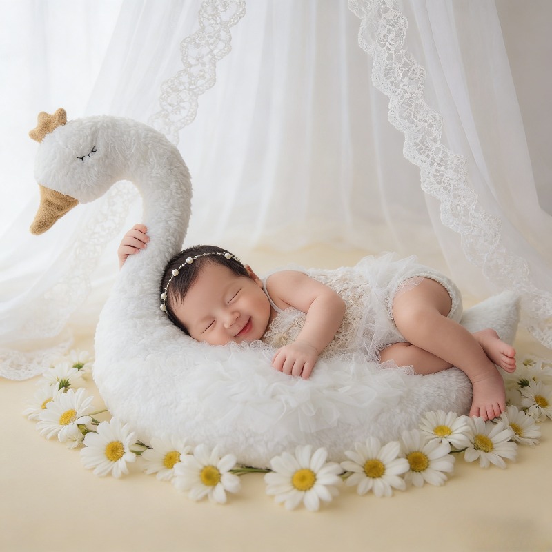 Newborn Photography Prop Swan  - огляд і ціна Photography Of The Day