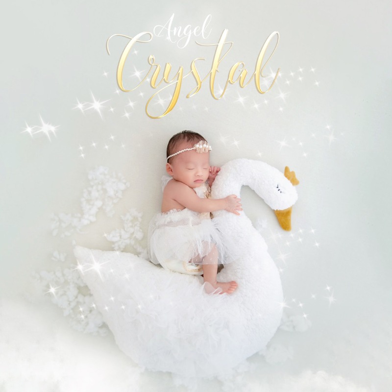 Newborn Photography Prop Swan  - огляд і ціна Photography Of The Day