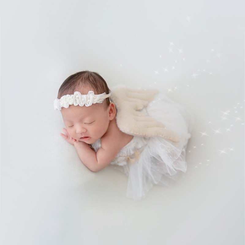 Newborn Photography Prop Swan  - огляд і ціна Photography Of The Day