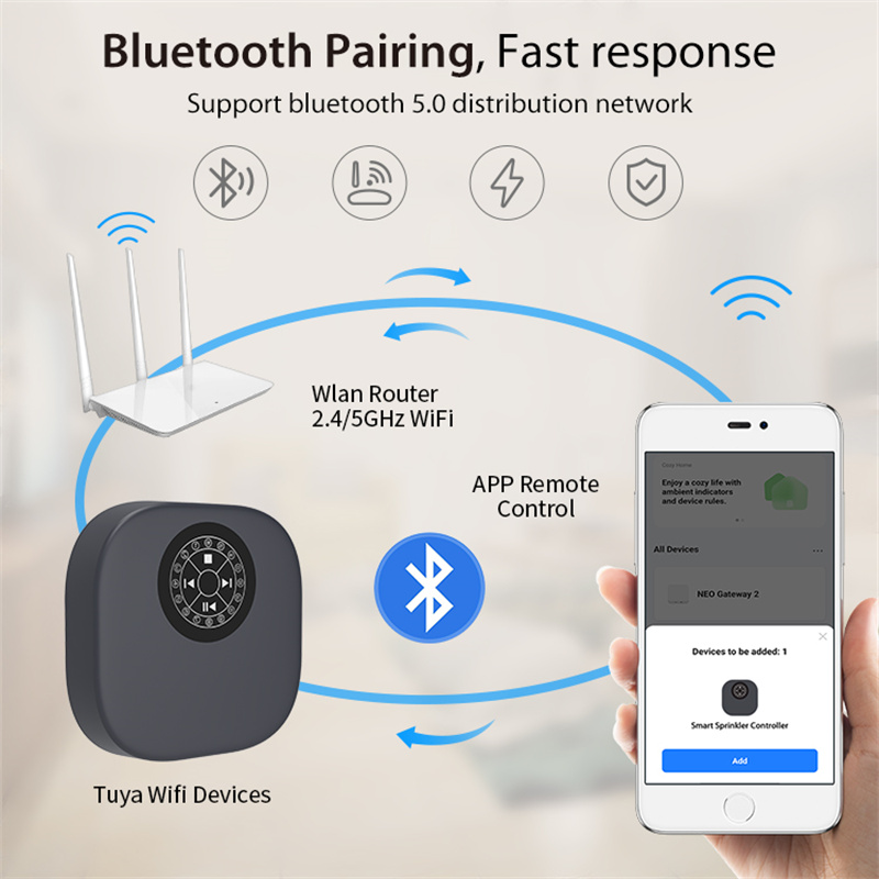 Tuya WiFi BLE Smart Sprinkler  - огляд і ціна Timelapse Controller