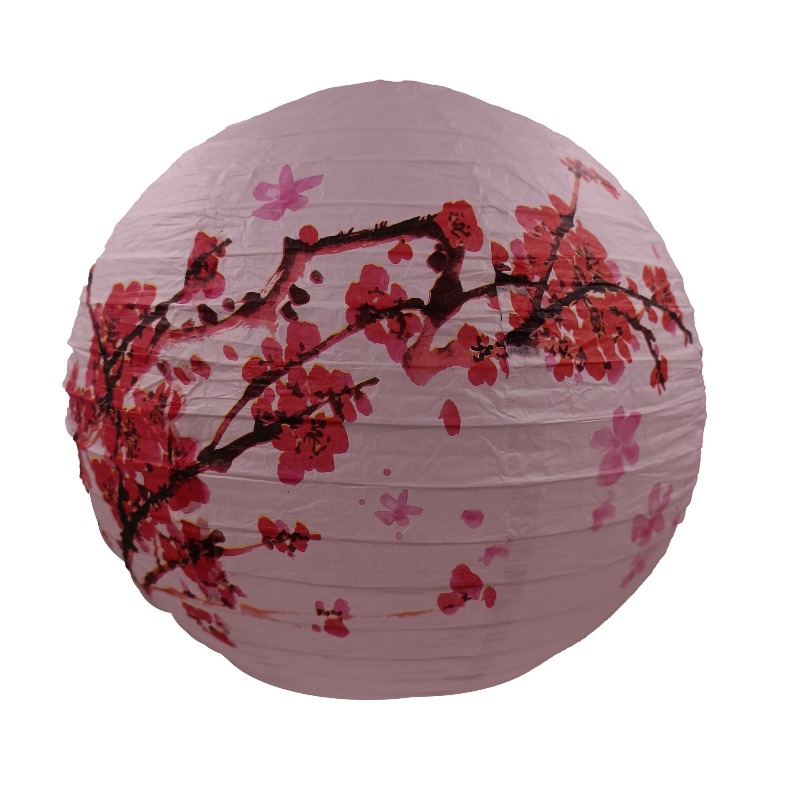 30cm Printed Paper Chinese Sty - огляд і ціна Photography Of The Day