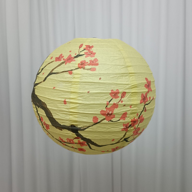 30cm Printed Paper Chinese Sty - огляд і ціна Photography Of The Day