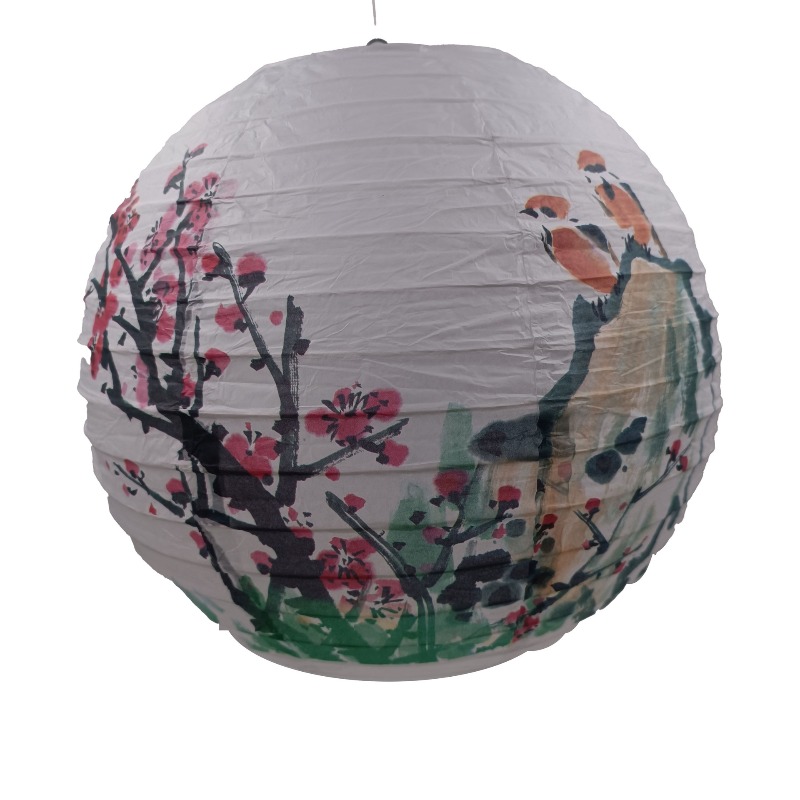 30cm Printed Paper Chinese Sty - огляд і ціна Photography Of The Day